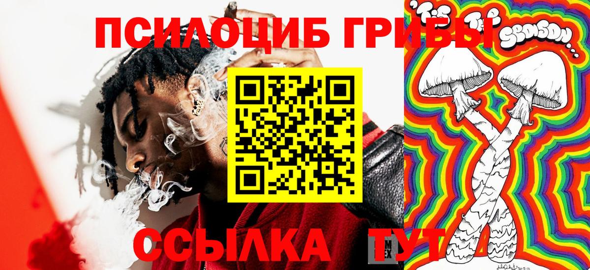 Галлюциногенные грибы GOLDEN TEACHER Симферополь