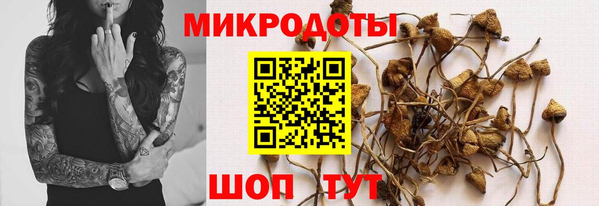 Симферополь  Галлюциногенные грибы GOLDEN TEACHER  Вход с VPN 