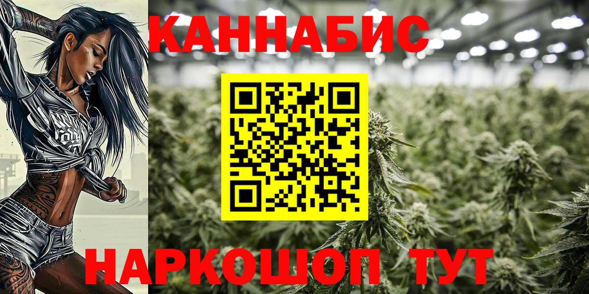 Шишки марихуана планчик  Марихуана Amnesia  Конопля Bruce Banner  Симферополь  Конопля White Widow  Вход с VPN 